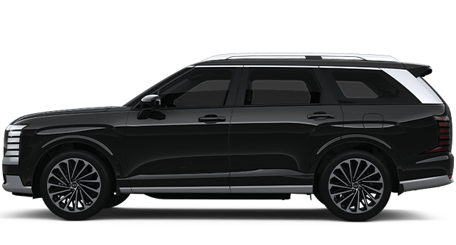 PALISADE HYBRID